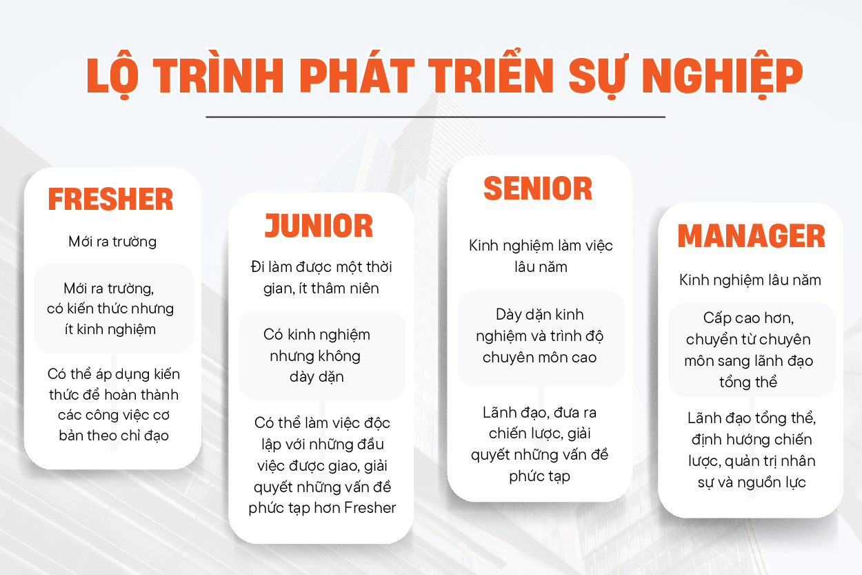 Lộ trình nghề nghiệp từ Fresher đến Lead – Hướng dẫn chi tiết, phân biệt sự khác nhau giữa cấp Fresher-Junior-Senior-Manager, CareerBox
