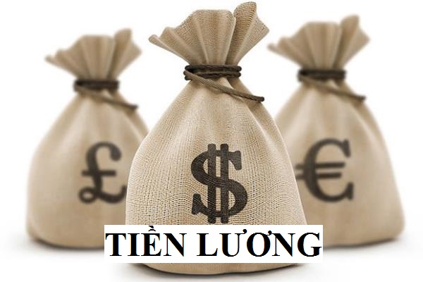 Sinh viên nên trả lời câu hỏi về lương thế nào?