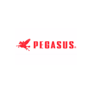 CÔNG TY TNHH MÁY MAY PEGASUS VIỆT NAM